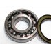 Подшипник полуоси ВАЗ 2101-2107 Complex (6306-2RS)