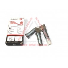 Личинки замка двери + багажника ВАЗ 2101 Лого-Д